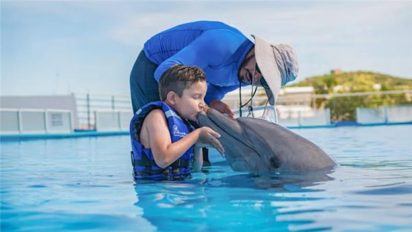 Family Dolphin Encounter (Cabo San Lucas) - Image 3